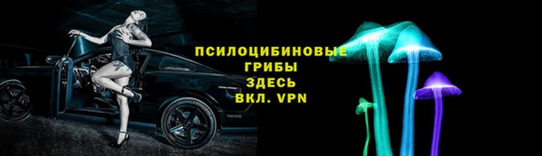 apvp Мегион